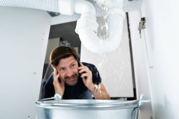 Best Water Heater Repair  in Pistakee Highlands, IL
