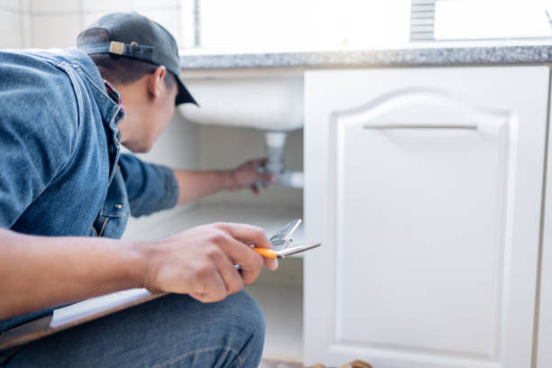 Best Water Softener Installation  in Pistakee Highlands, IL