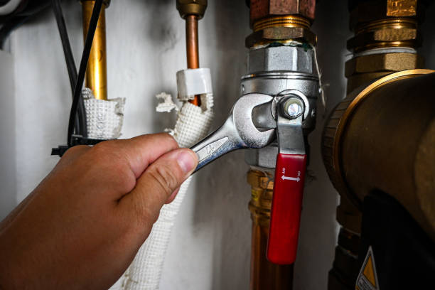 Best Commercial Plumbing Services  in Pistakee Highlands, IL
